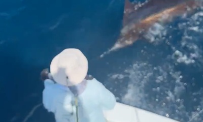 Caught 5 Sailfish with Captain Rick! Rick is a great Captain who knows the waters. We went 22 miles out for the catch. Orlando, Rick’s mate was also very sharp. I enjoyed spending time in the tuna tower with Rick. 