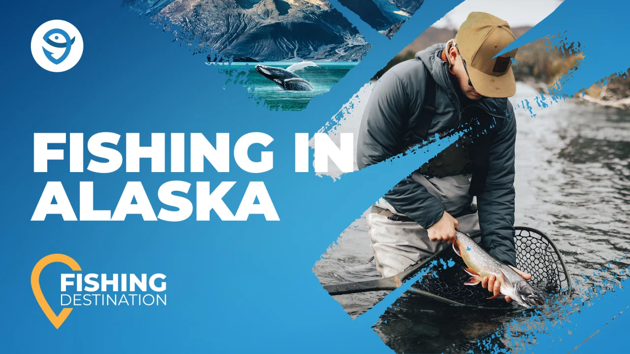 Alaska Steelhead Fishing: A Complete Guide 2024