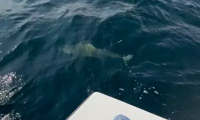 Fishing with Tyler