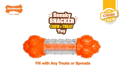 Nylabone Sneaky Snacker Dog Treat Toy - Glendale, AZ - El Mirage, AZ -  Mesa, AZ - Pratt's Pets
