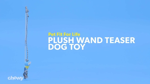Play Video: Learn More About Pet Fit For Life From Our Team of Experts