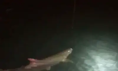 Miami Bericht Video 2