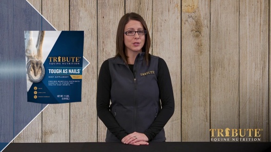 Play Video: Learn More About Tribute Equine Nutrition From Our Team of Experts