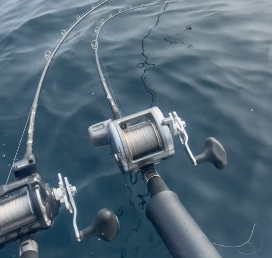 Business Card: Too EZ Sportfishing LLC