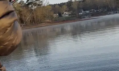 Townville Report Video 0