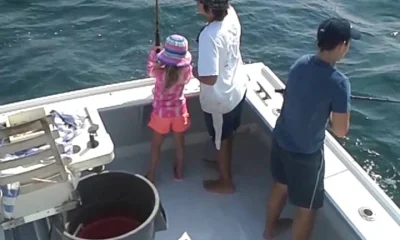 Montauk Report Video 0