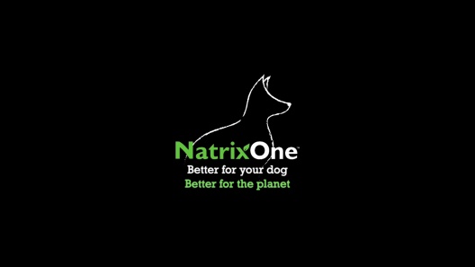 Play Video: Learn More About NatrixOne From Our Team of Experts