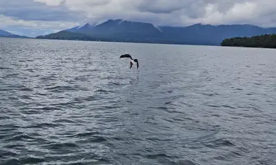 The Best Catch!!!!