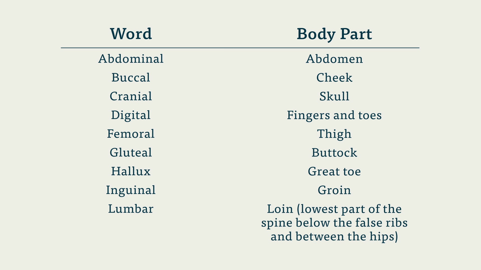 Learn Medical Terminology and Human Anatomy