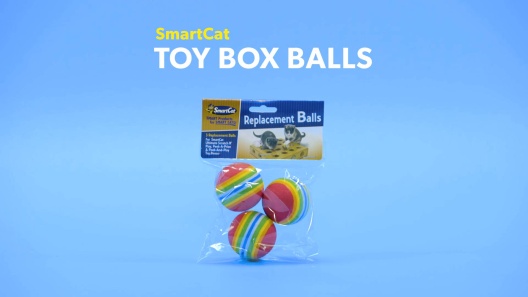 Play Video: Learn More About SmartCat From Our Team of Experts