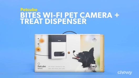 Play Video: Learn More About Petcube From Our Team of Experts
