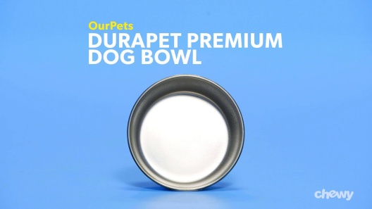 Play Video: Learn More About OurPets From Our Team of Experts