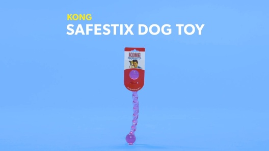 Kong Saftex Dog Fetch Toy, Assorted, S