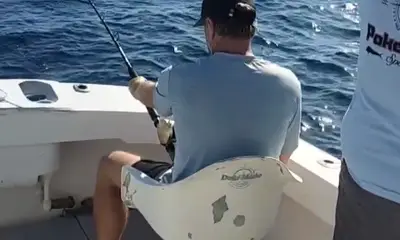 San Jose del Cabo Report Video 2