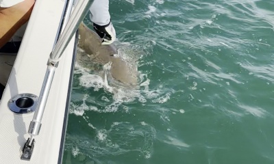 great day on the water! 