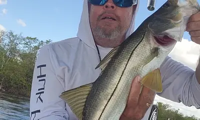Bonita Springs Report Video 0