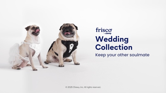 Frisco Rosette and Tulle Dog & Cat Wedding Dress