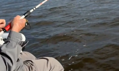 Red fish mania! 