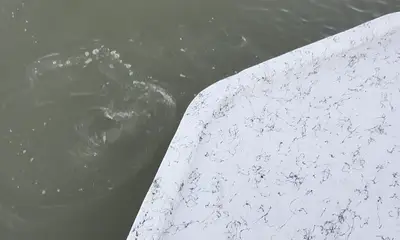 Big family outing, outstanding!!!