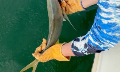 North Miami Report Video 0