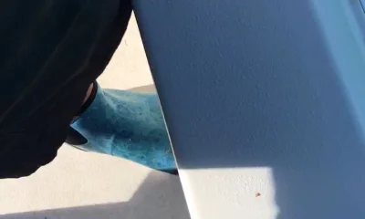 Islamorada Report Video 0