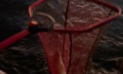 Townville Report Video 0