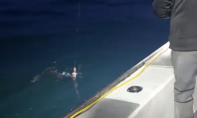 Epic squid bite for the past 7 days 