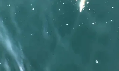 Ocean City Report Video 1