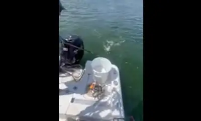 San Antonio Report Video 0