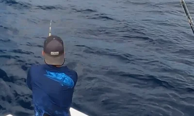 Quepos Report Video 0