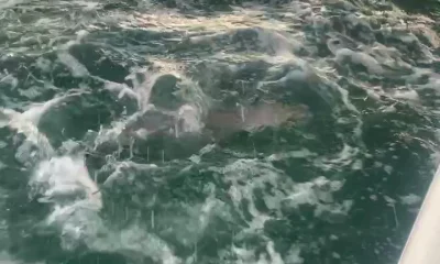 September fishing trip