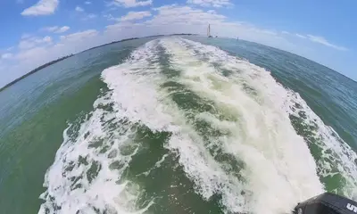 Family-friendly fishing trip and dolphin watching