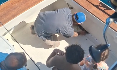 EXCELLENT FISHING REPORT DANA POINT, CA