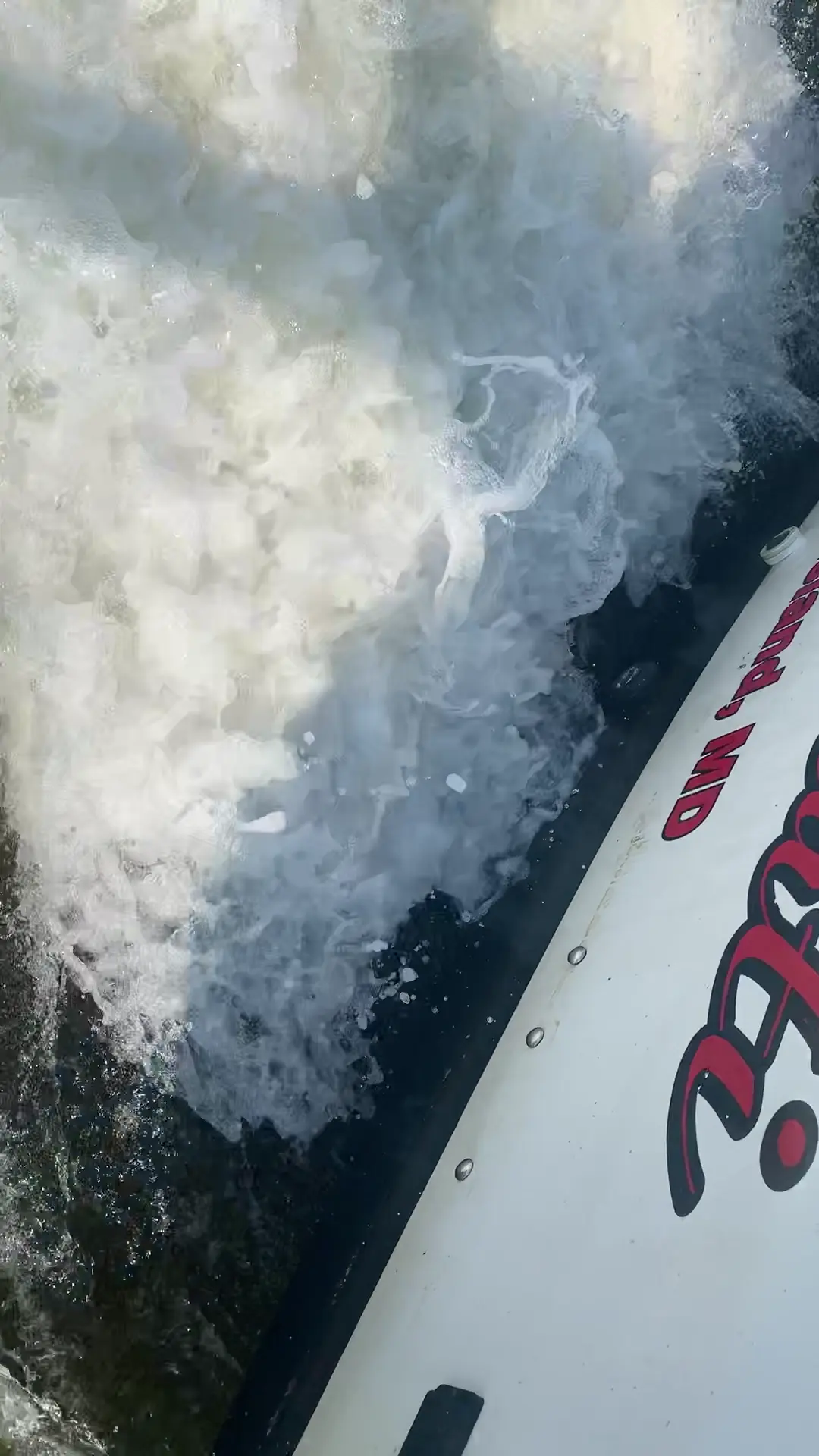 Business Card: Reel Nauti Charters