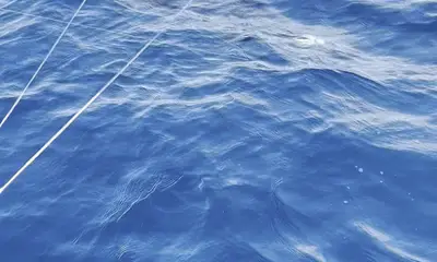 Puerto Morelos Report Video 0