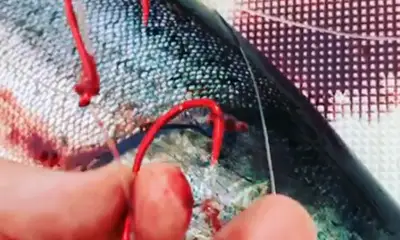 Ketchikan Report Video 0