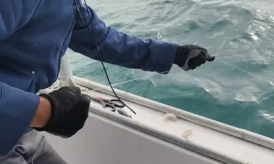 Ajman Report Video 4