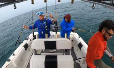 Belleair Bluffs Report Video 0