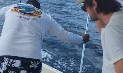 Brilliant trip - 3 wahoos!