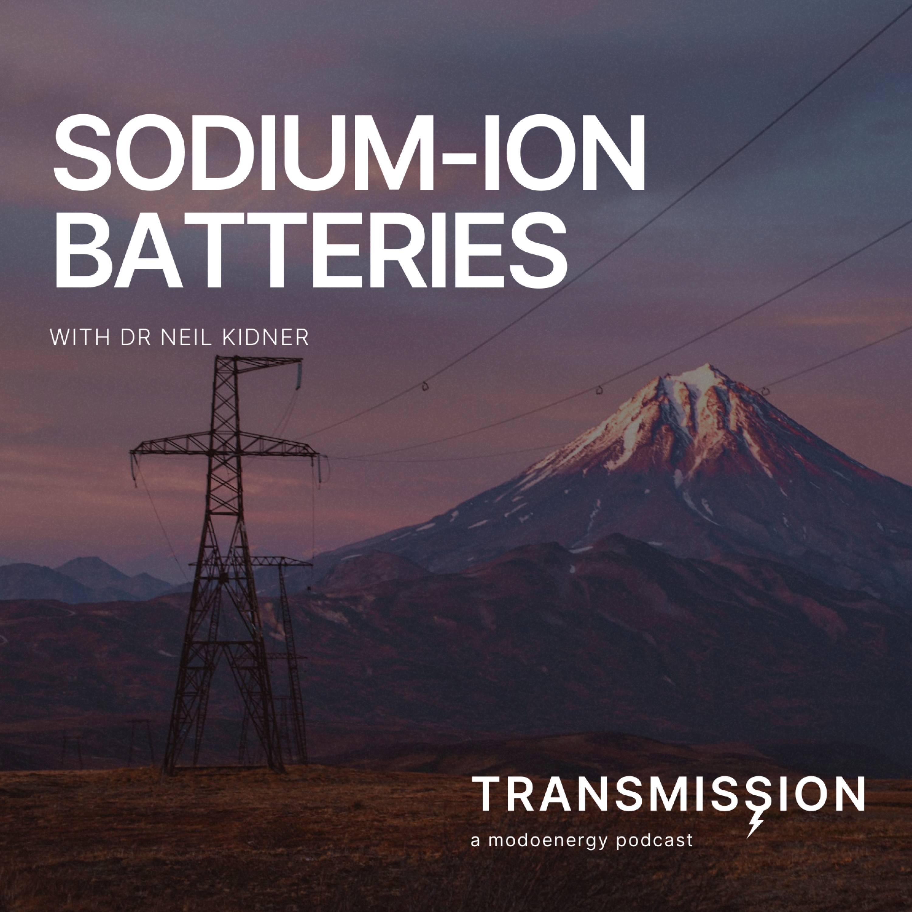 Sodium-ion batteries with Neil Kidner (Co-Founder and CSO @ Adena Power) - podcast episode cover