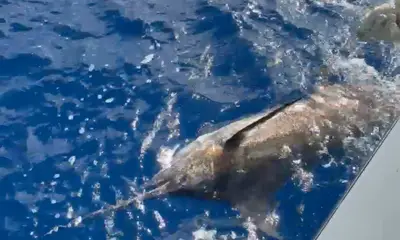 Fishing with Charlie