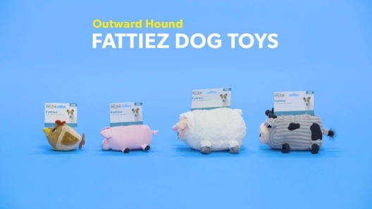 Play Video: Learn More About Outward Hound From Our Team of Experts
