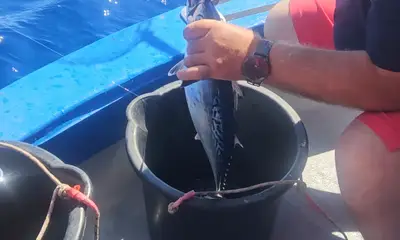 Professional and Action-packed Fishing Experience