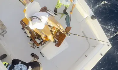 Cabo San Lucas Report Video 2