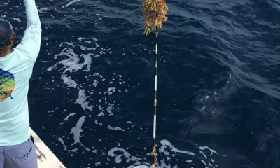 Boynton Beach Bericht Video 0