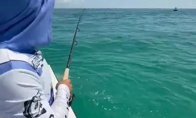 Tampa Report Video 0