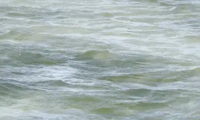 We went to fish, All we did was CATCH