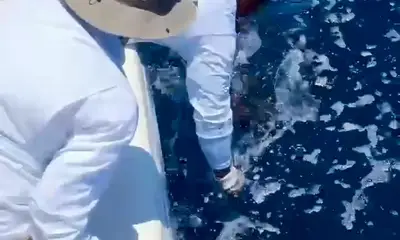 San Jose del Cabo Report Video 0