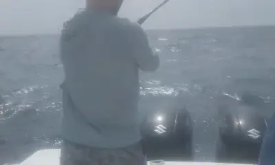 San Jose del Cabo Видео отчет 0