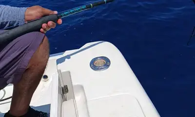 Placida Report Video 0